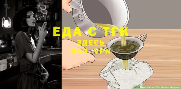 тгк Абаза