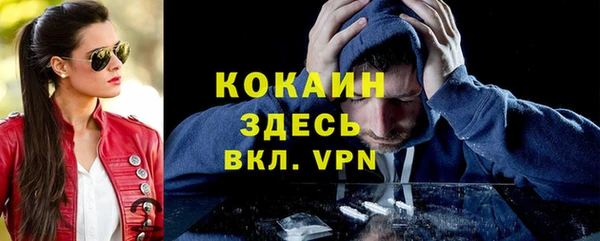 тгк Абаза