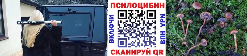 Псилоцибиновые грибы мицелий  что такое наркотик  Фёдоровский 